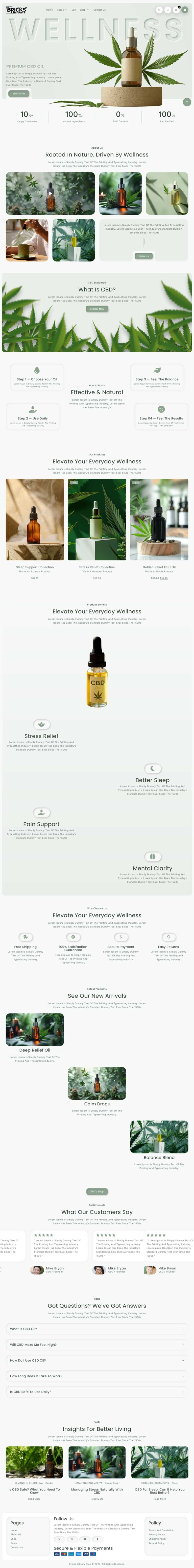 Bricks CBD Store Template