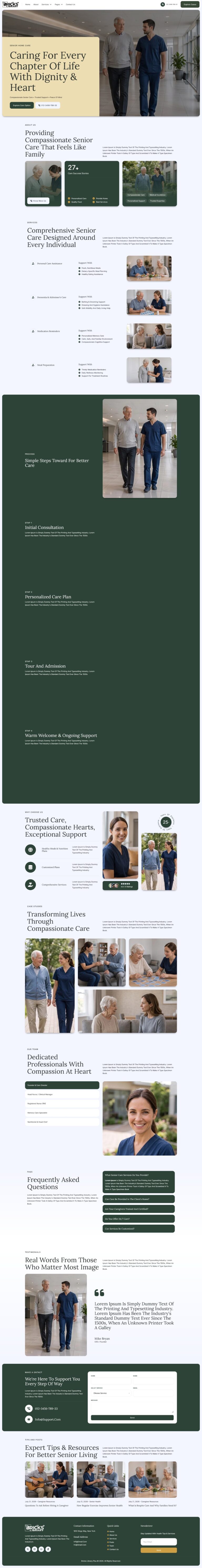 Bricks Senior Care Template
